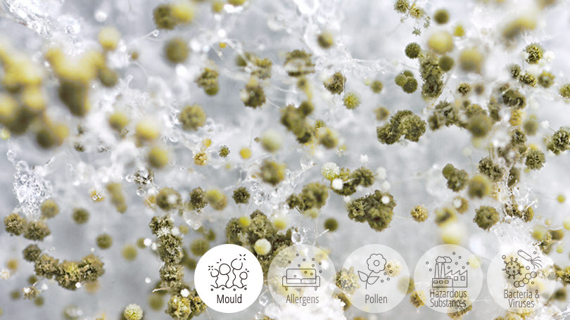 Hình ảnh về nấm mốc Hình ảnh về chất gây dị ứng Hình ảnh về phấn hoa Hình ảnh về các chất độc hại Hình ảnh về vi khuẩn & vi rút