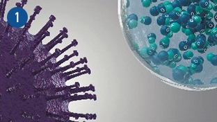 Images depicting how nanoe™ X inhibits viruses, and graphs showing that nanoe™ X is effective in inhibiting airborne and adhered viruses