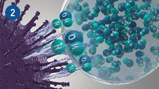 Le immagini illustrano come nanoe™ X inibisce i virus e i grafici mostrano l'efficacia inibitoria di nanoe™ X sui virus presenti nell'aria o sulle superfici