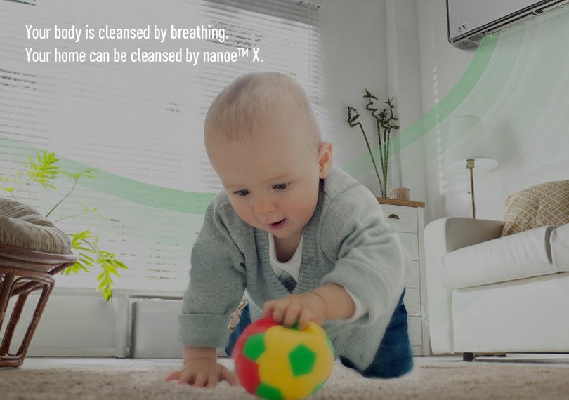 Cleaner home enviroment for your loved ones.