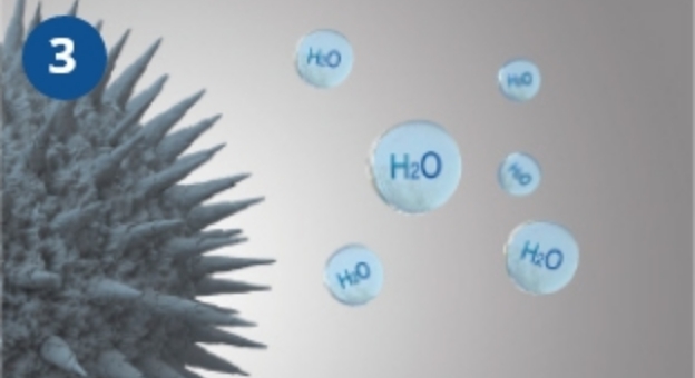 La terza immagine mostra il meccanismo dell'effetto di nanoe™ X.