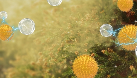 Una imagen de polen.