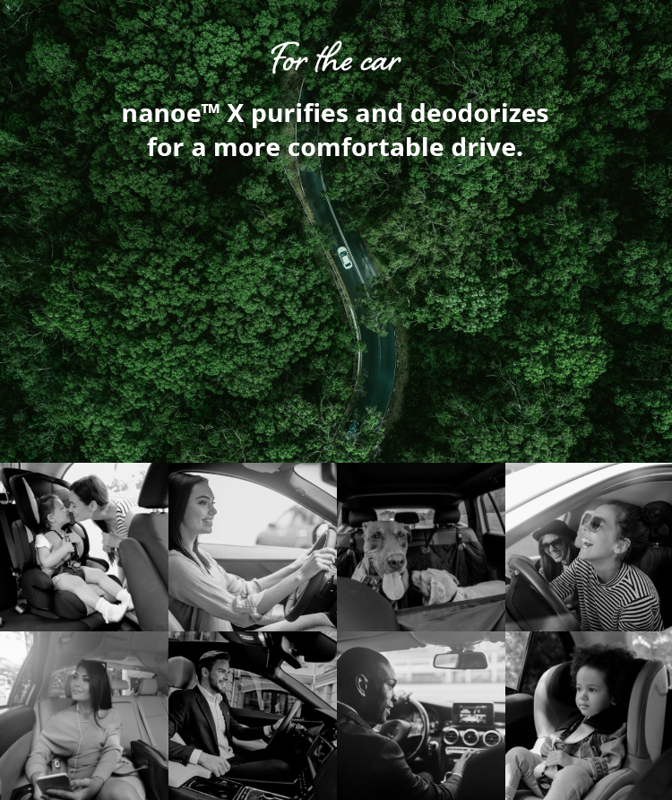 nanoe™ X purifies and deodorises for a more comfortable drive