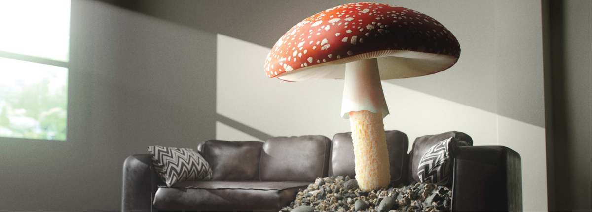 Sofa with large mushroom.