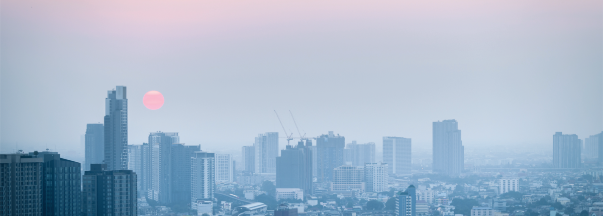 Panoramic view of city skyline filled with pollution.