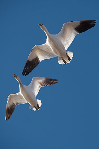 H-RS100400 GALLARY BY PHOTOGRAPHER