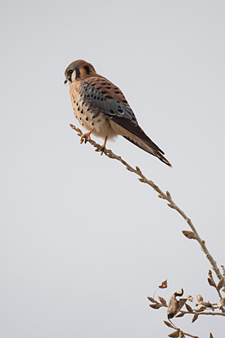 H-RS100400 GALLARY BY PHOTOGRAPHER