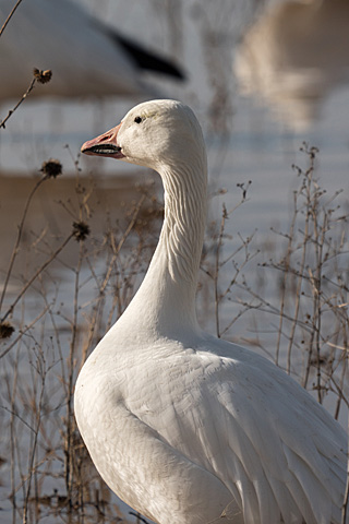 H-RS100400 GALLARY BY PHOTOGRAPHER