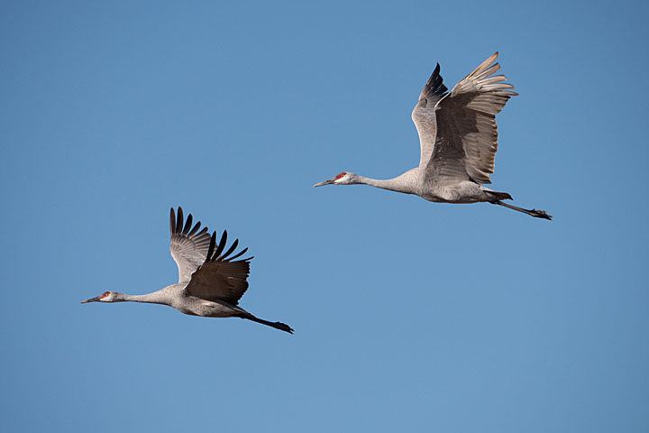 H-RS100400 GALLARY BY PHOTOGRAPHER