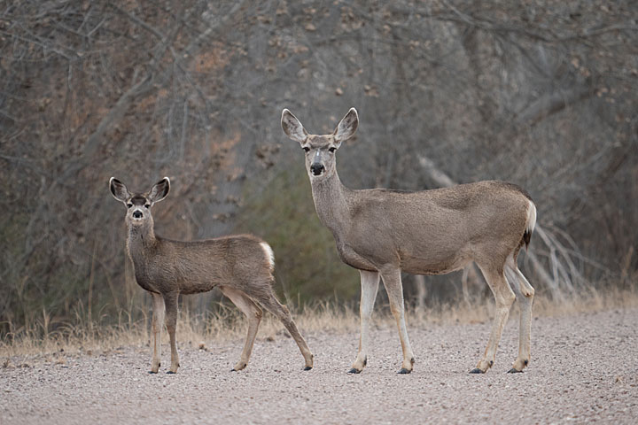 H-RS100400 GALLARY BY PHOTOGRAPHER