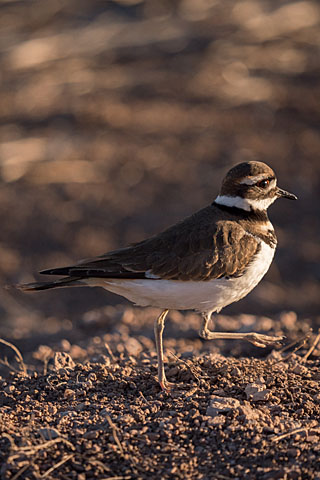 H-RS100400 GALLARY BY PHOTOGRAPHER