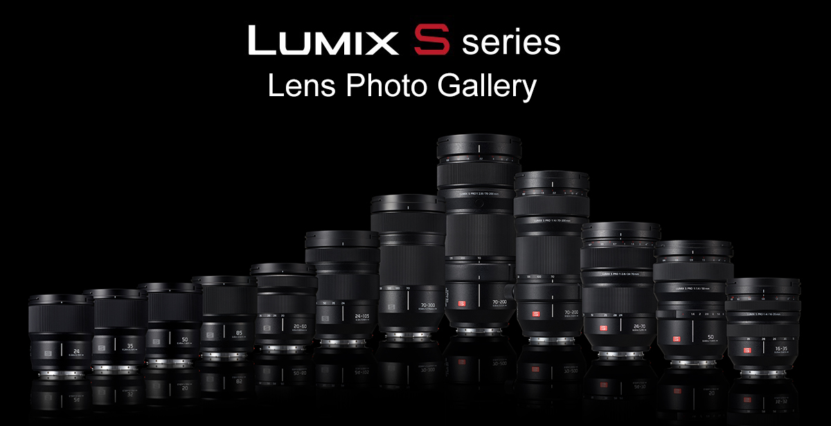 LUMIX S series Lens Gallery