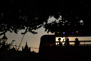 DC-S1R,LUMIX S PRO 24-70mm F2.8(S-E2470),1/640 sec,F9,ISO100   ©Edmond Terakopian