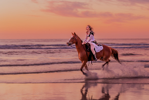 DC-S1R,LUMIX S PRO 70-200mm F4 O.I.S.,1/160 sec,F1.0,ISO1600 ©Shiv Verma