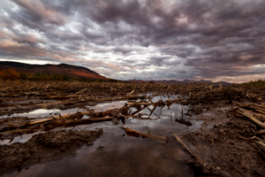 DC-S5,LUMIX S PRO 16-35mm F4,1/60 sec,F4.0,ISO400 ©Ben Grunow