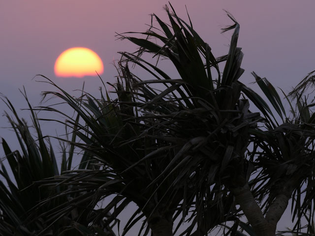 LUMIX GH4 SPECIAL GALLERY Takeshi Fukazawa -The Blessings of Kuroshio Current