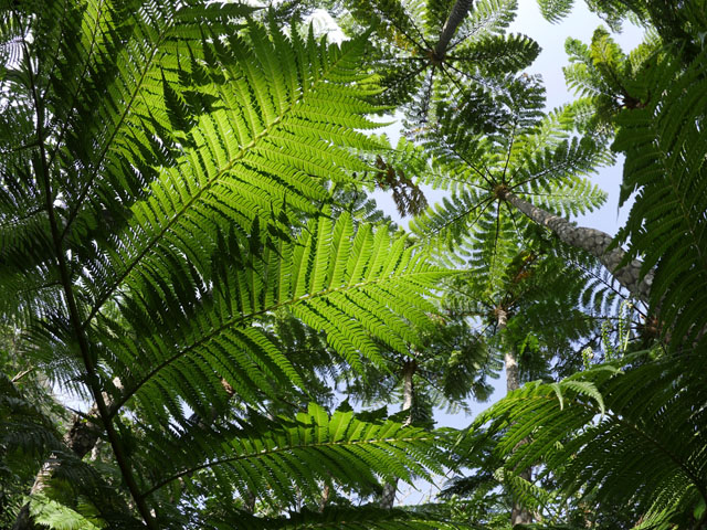 LUMIX GH4 SPECIAL GALLERY Takeshi Fukazawa -The Blessings of Kuroshio Current