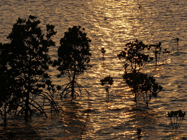 LUMIX GH4 SPECIAL GALLERY Takeshi Fukazawa -The Blessings of Kuroshio Current