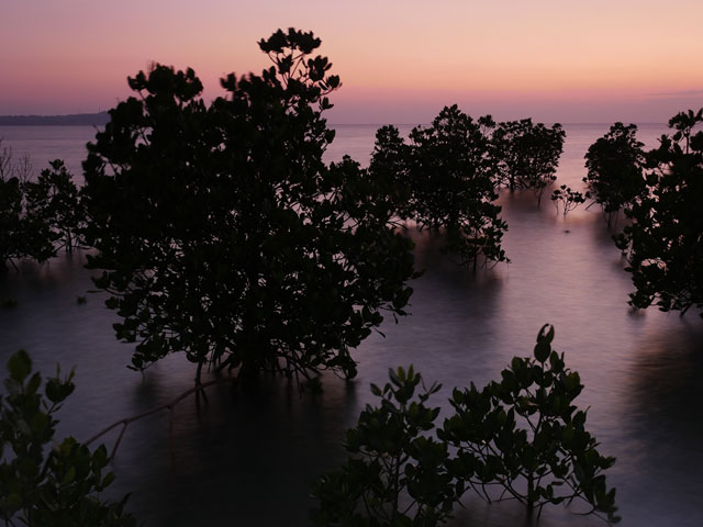 LUMIX GH4 SPECIAL GALLERY Takeshi Fukazawa -The Blessings of Kuroshio Current