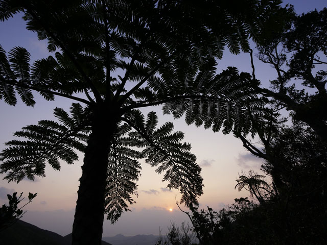 LUMIX GH4 SPECIAL GALLERY Takeshi Fukazawa -The Blessings of Kuroshio Current