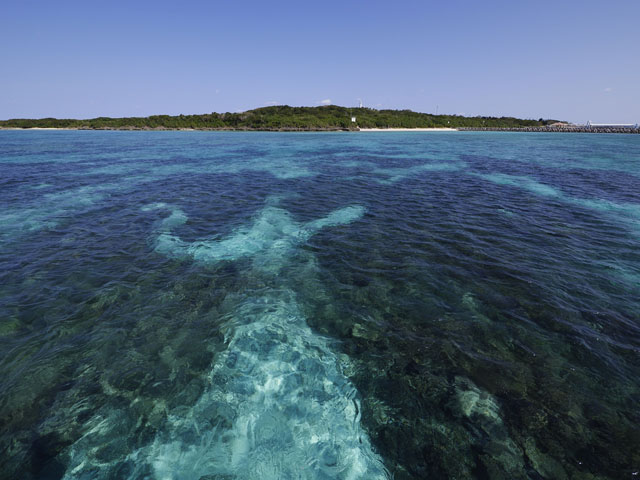 LUMIX GH4 SPECIAL GALLERY Takeshi Fukazawa -The Blessings of Kuroshio Current