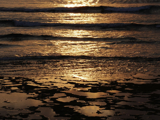 LUMIX GH4 SPECIAL GALLERY Takeshi Fukazawa -The Blessings of Kuroshio Current