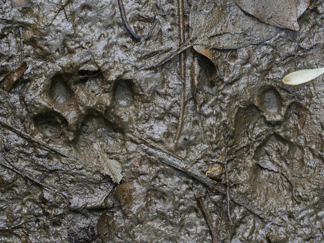 LUMIX GH4 SPECIAL GALLERY Takeshi Fukazawa -The Blessings of Kuroshio Current