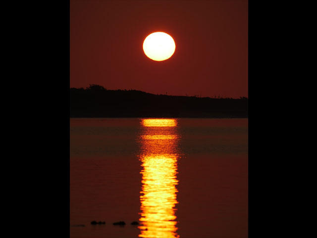 LUMIX GH4 SPECIAL GALLERY Takeshi Fukazawa -The Blessings of Kuroshio Current