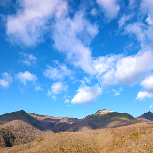 LUMIX S1RII 2: Videografia See more