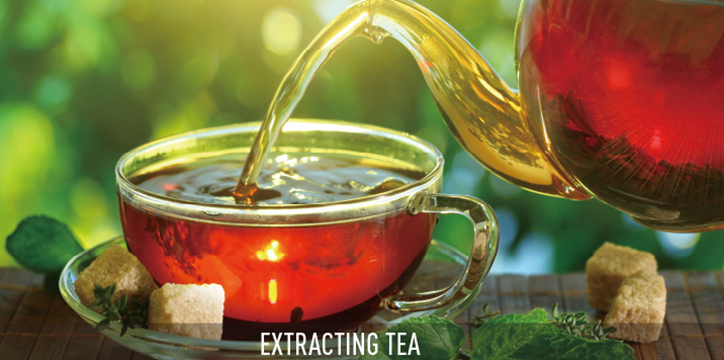 Extracting tea