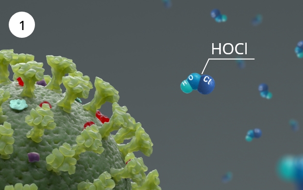 ภาพกรดไฮโปคลอรัส (HOCl ) จาก Aqua ziaino® เข้าทำปฏิกิริยากับแบคทีเรีย ไวรัส และกลิ่นไม่พึงประสงค์