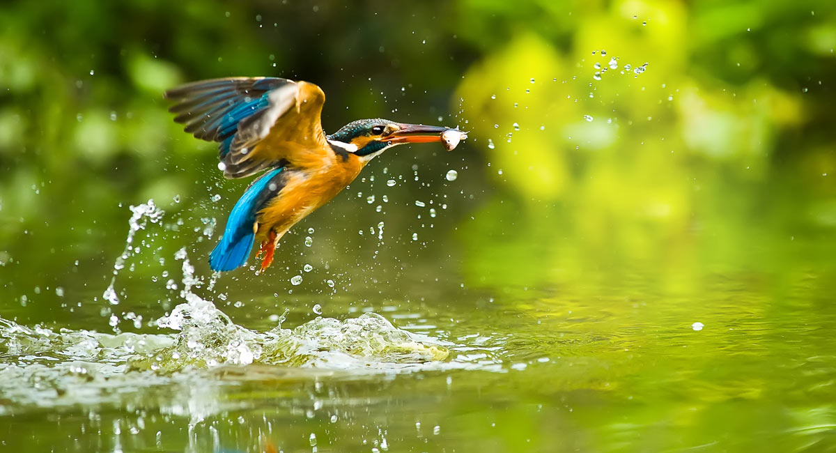 Zoom 25-600mm con F2.8 de Alcance Máximo
