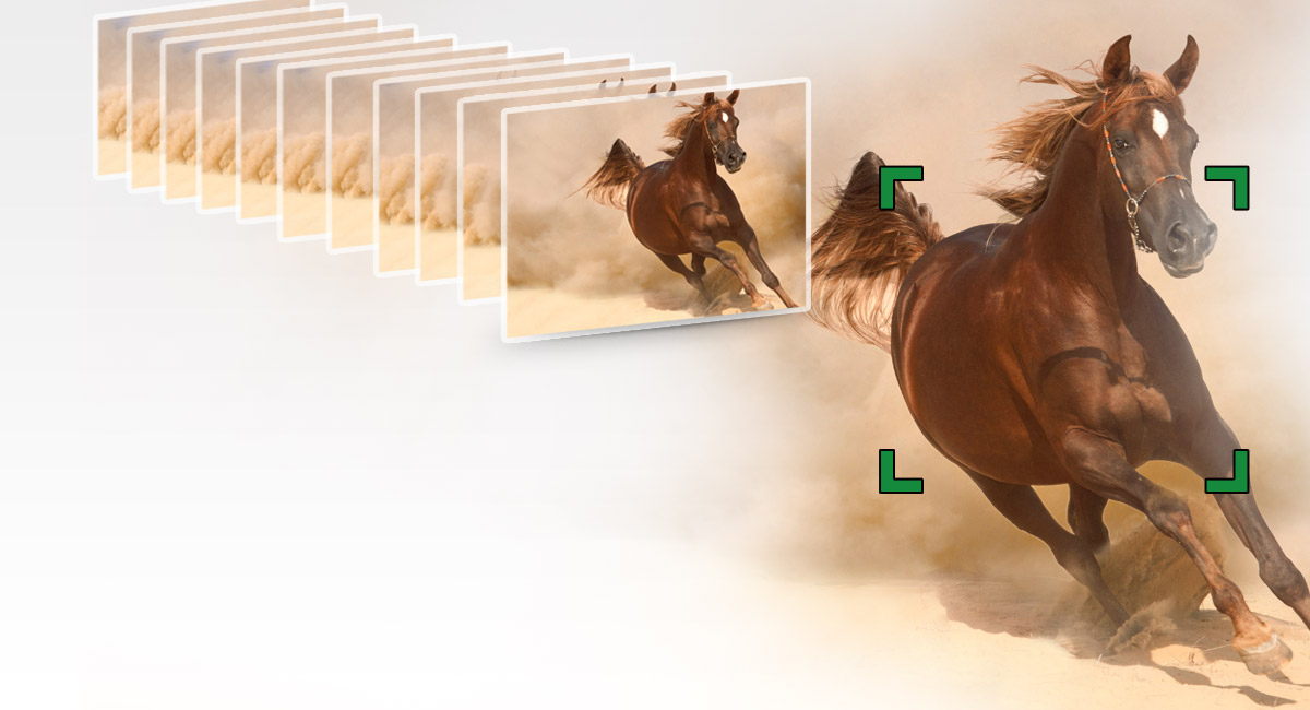 Disparos en ráfaga a 12 cuadros por segundo 
