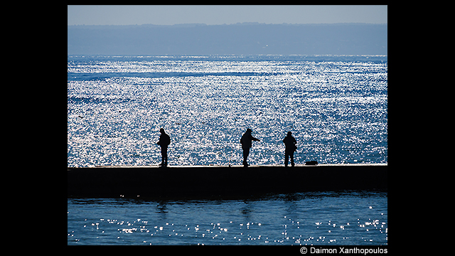 ¿Necesitas ideas? - Teleobjetivo LEICA DG H-ES50200