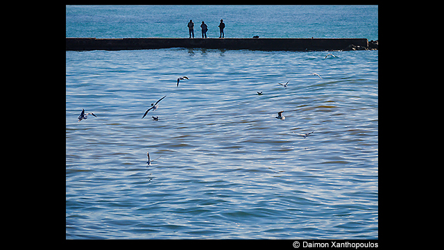 ¿Necesitas ideas? - Teleobjetivo LEICA DG H-ES50200