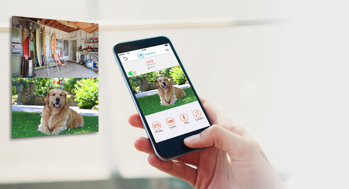 التأكيد على السلامة للحفاظ على أمان العائلة وحماية المنزل