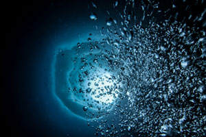 LUMIX GH5S Gallery 6