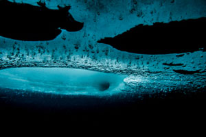 LUMIX GH5S Gallery 8