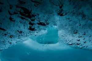 LUMIX GH5S Gallery 9