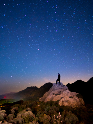 LUMIX GH5S Gallery 1