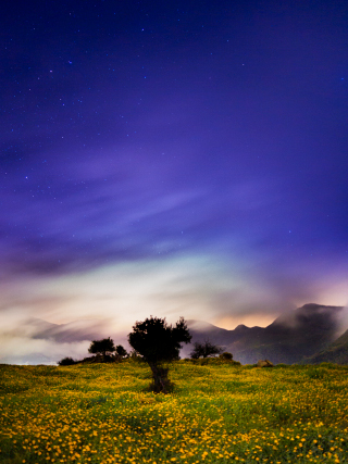 LUMIX GH5S Gallery 2