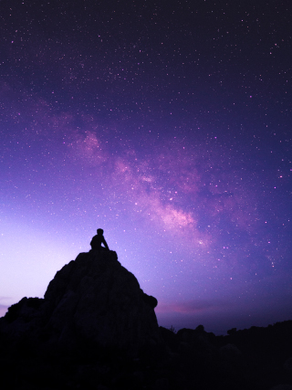 LUMIX GH5S Gallery 4