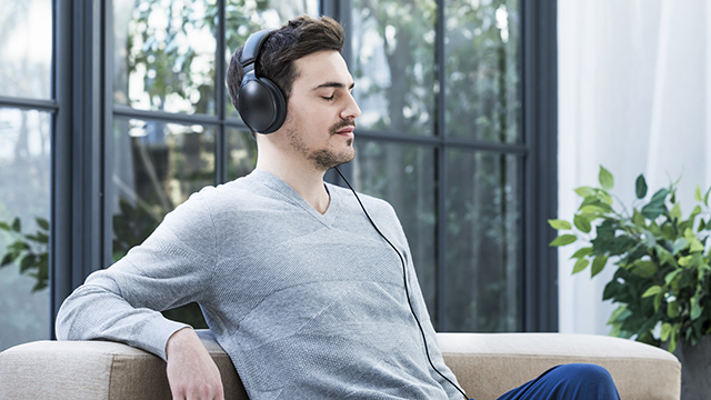 Get Inspired - Premium Sound Wireless Headphones RP-HD610NE-K