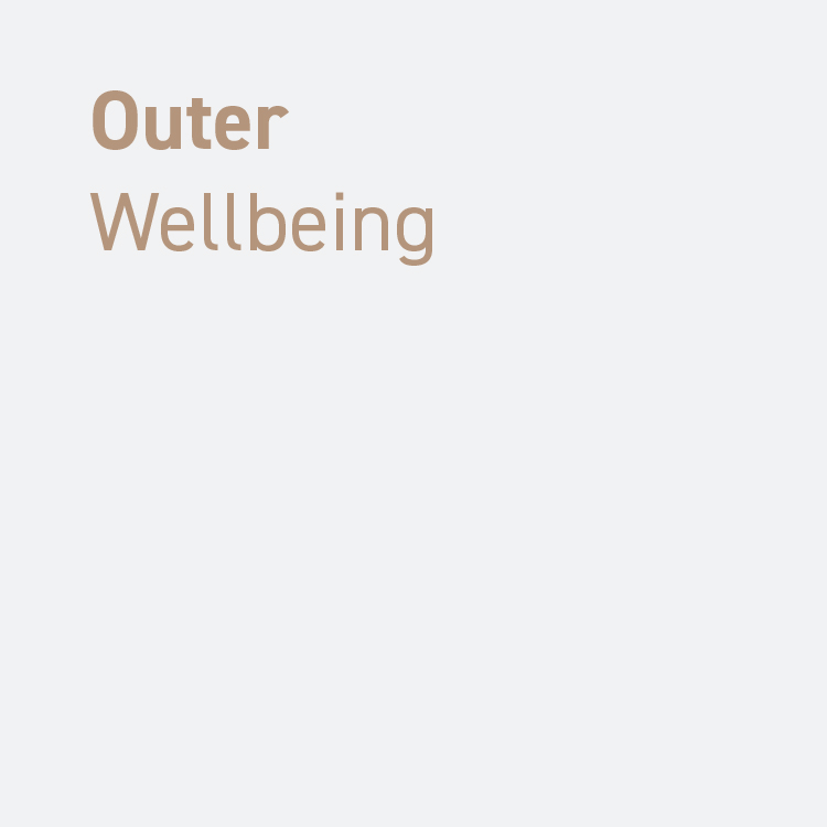 Text: Outer Wellbeing
