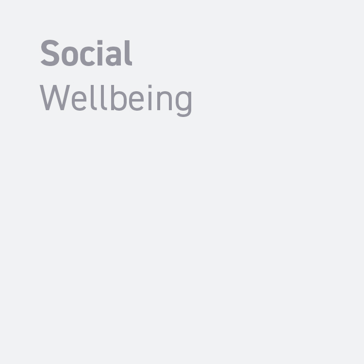 Link to: Social Wellbeing