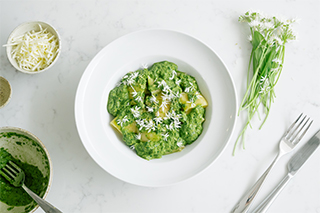 LUMIX G100 Sample Images 1