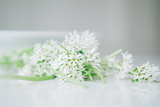 LUMIX G100 Sample Images 2