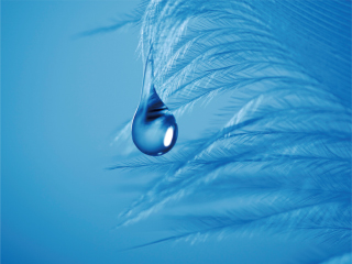 LEICA DG MACRO-ELMARIT 45mm / F2.8 ASPH. / MEGA O.I.S. Sample Images 2