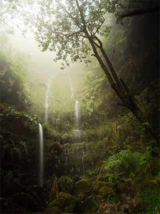 LEICA DG VARIO-ELMARIT 12-60mm / F2.8-4.0 ASPH. / POWER O.I.S. Sample Images 1