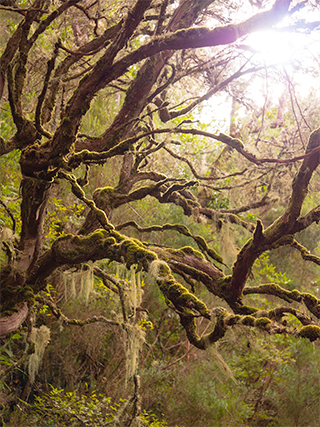 LEICA DG VARIO-ELMARIT 12-60mm / F2.8-4.0 ASPH. / POWER O.I.S. Sample Images 2